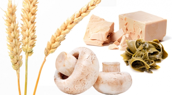 &Pi;ό&sigma;&omicron;&hellip; &kappa;&alpha;&lambda;ό &mu;&alpha;&sigmaf; &kappa;ά&nu;&epsilon;&iota; &eta;  &beta;΄ &gamma;&lambda;&upsilon;&kappa;ά&nu;&eta;;